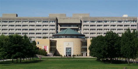 York University .